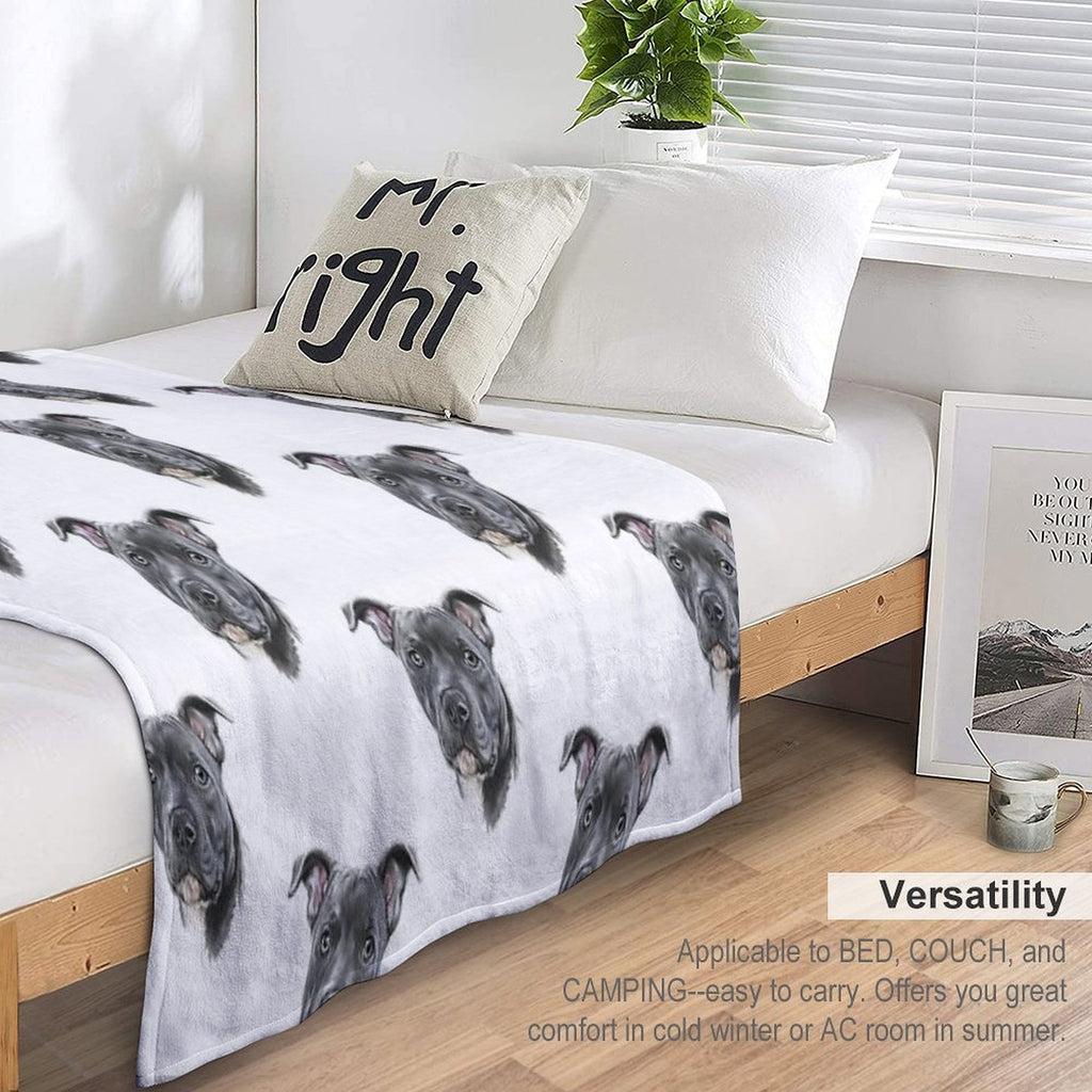 Blue Staffy Quick-dry Throw Blanket
