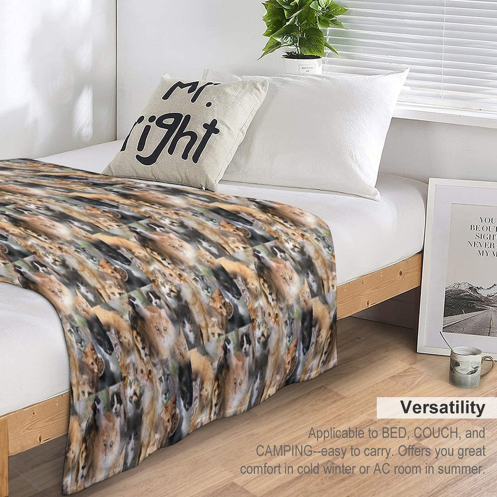 Cat Photo Collage All-season Throw Blanket