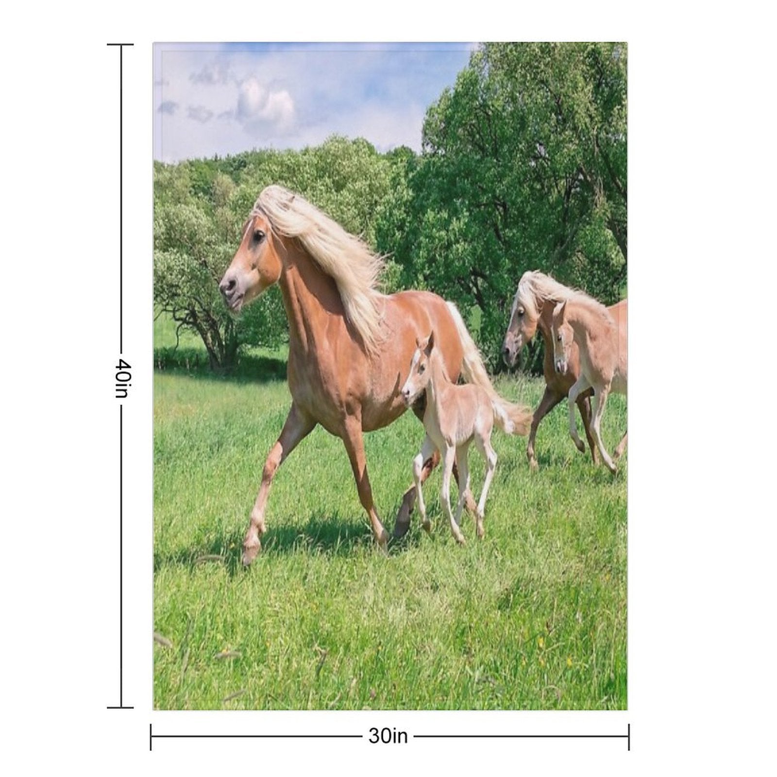 Haflinger Horses Run Together Wrinkle-free Throw Blanket