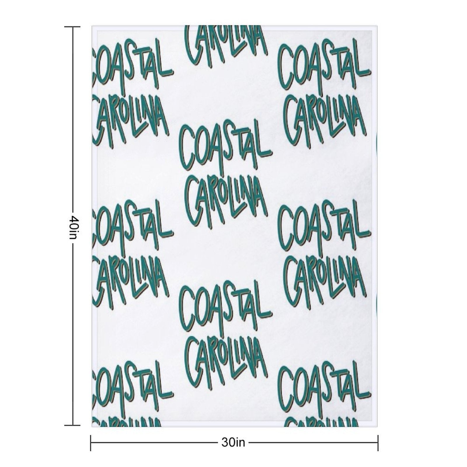 Coastal Carolina Comfort Throw Blanket