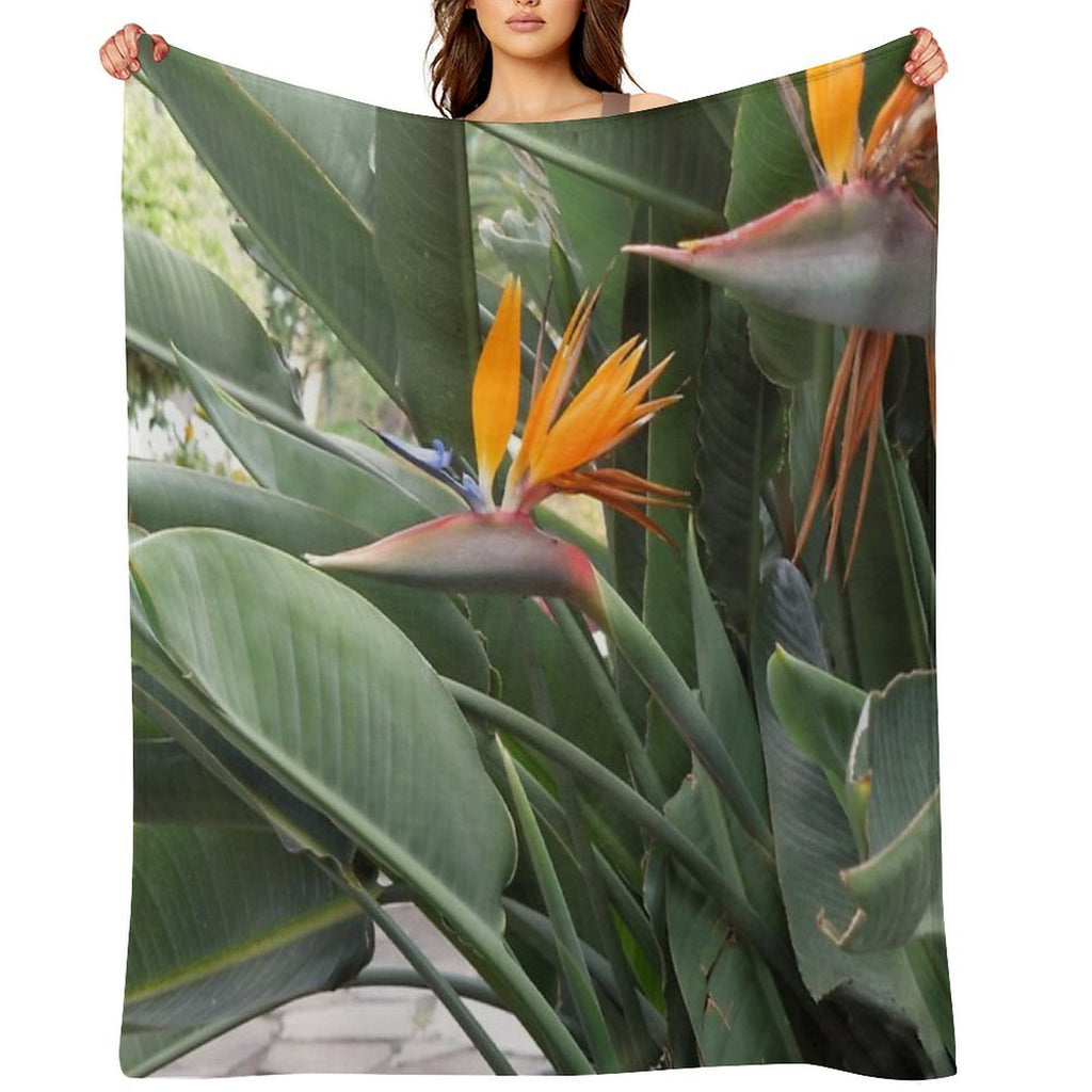 A Beautiful Bird of Paradise Flower from Madeira Compact Throw Blanket