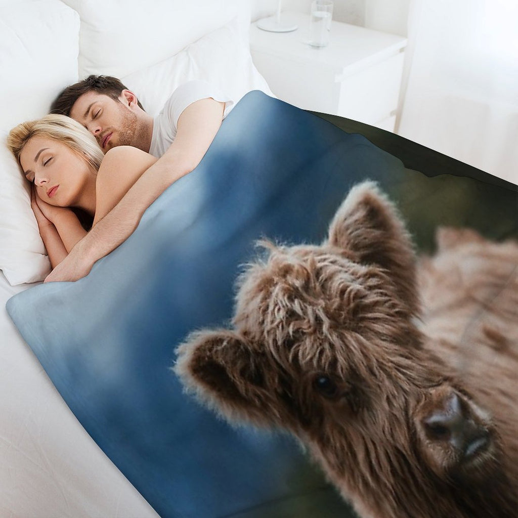 Baby Highland Cow Durable Throw Blanket