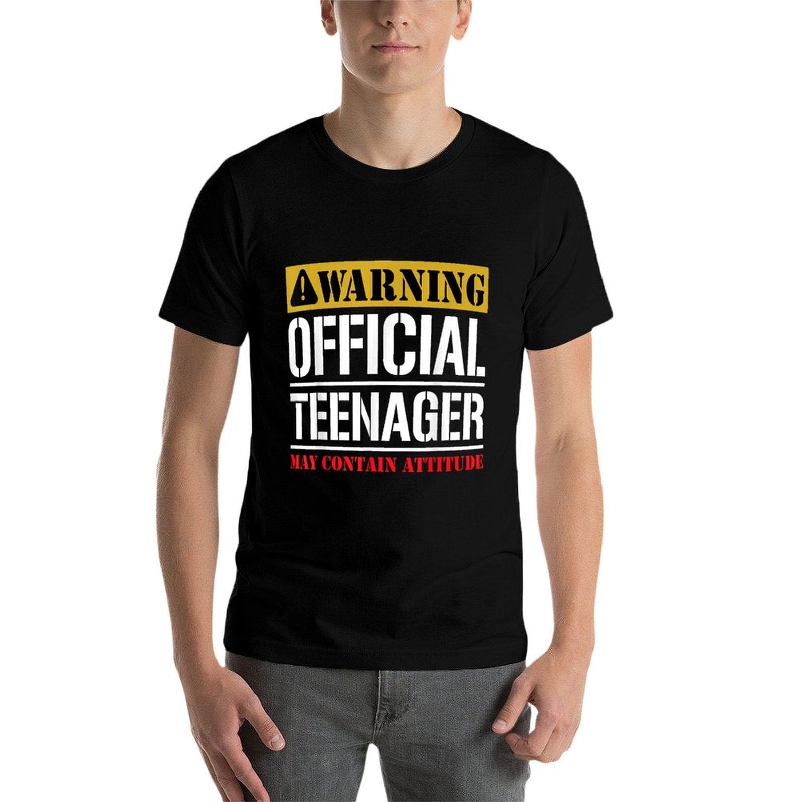 13 Birthday Officialnager Boy 13yr Math 13th Birthday  Easy-care T-Shirt