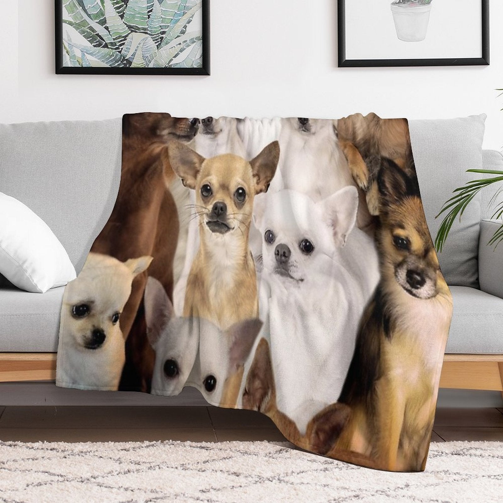 Chihuahuas Anti-pilling Throw Blanket