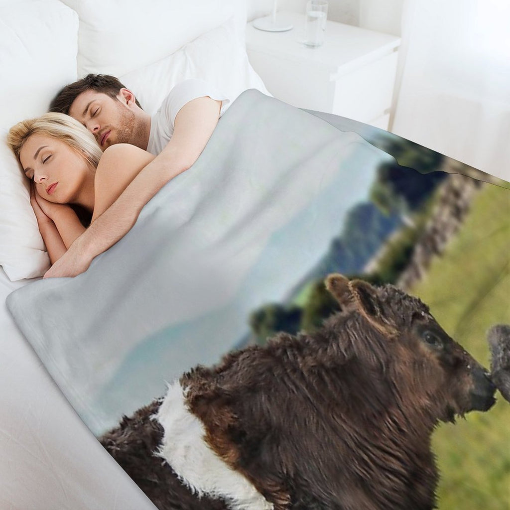 Belted Galloway Lightweight Throw Blanket