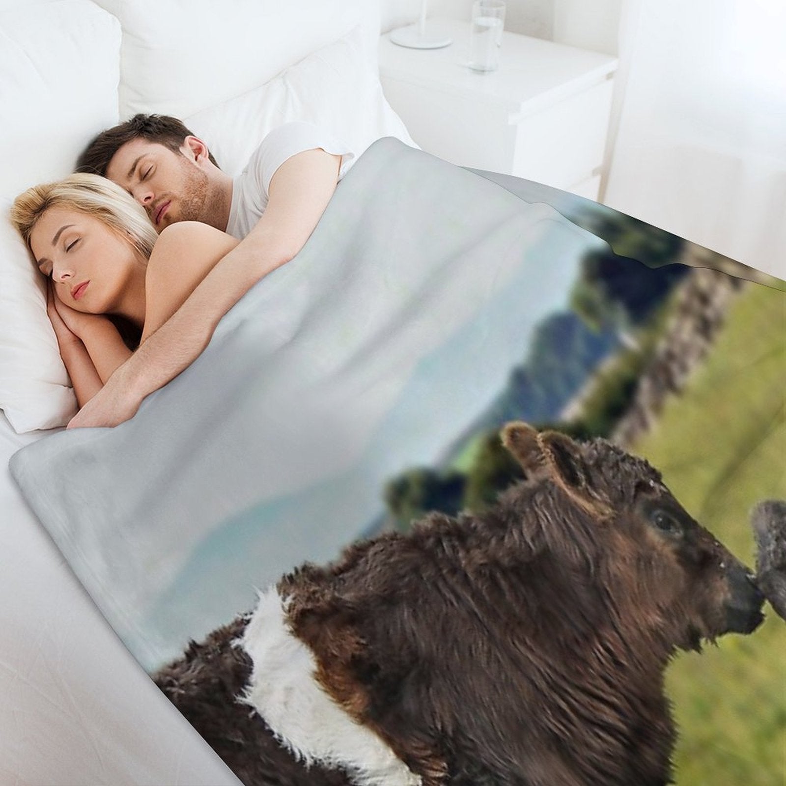 Belted Galloway Lightweight Throw Blanket