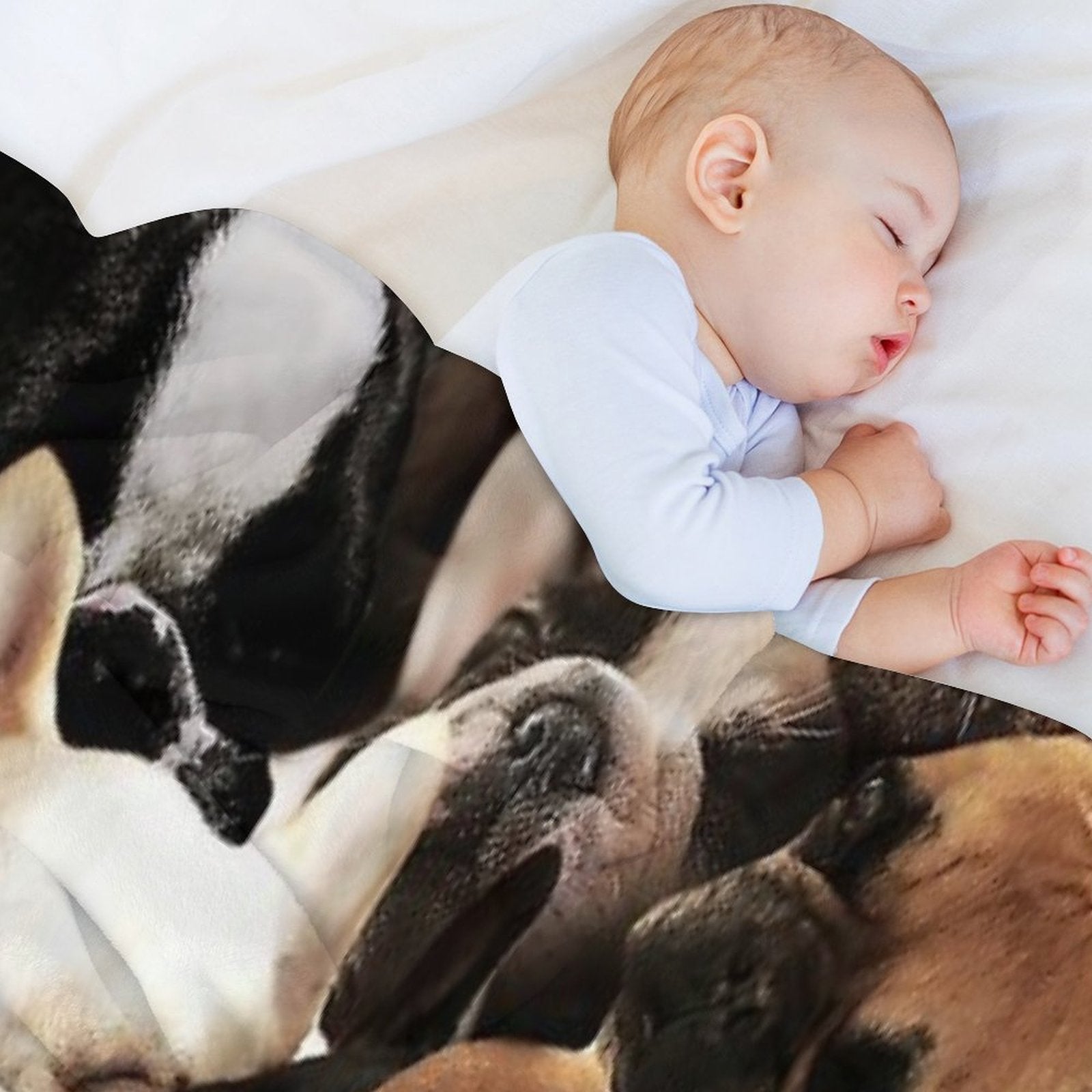 French Bulldogs Gift-ready Throw Blanket