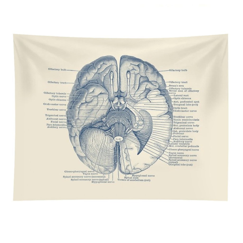 Brain Nervous System Diagram Tapestry