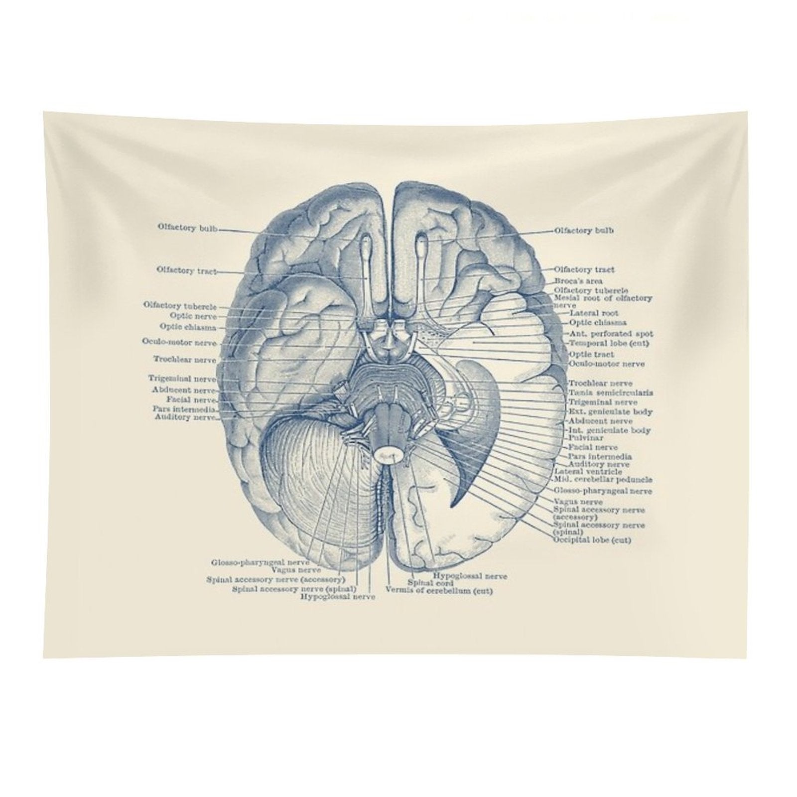 Brain Nervous System Diagram Tapestry