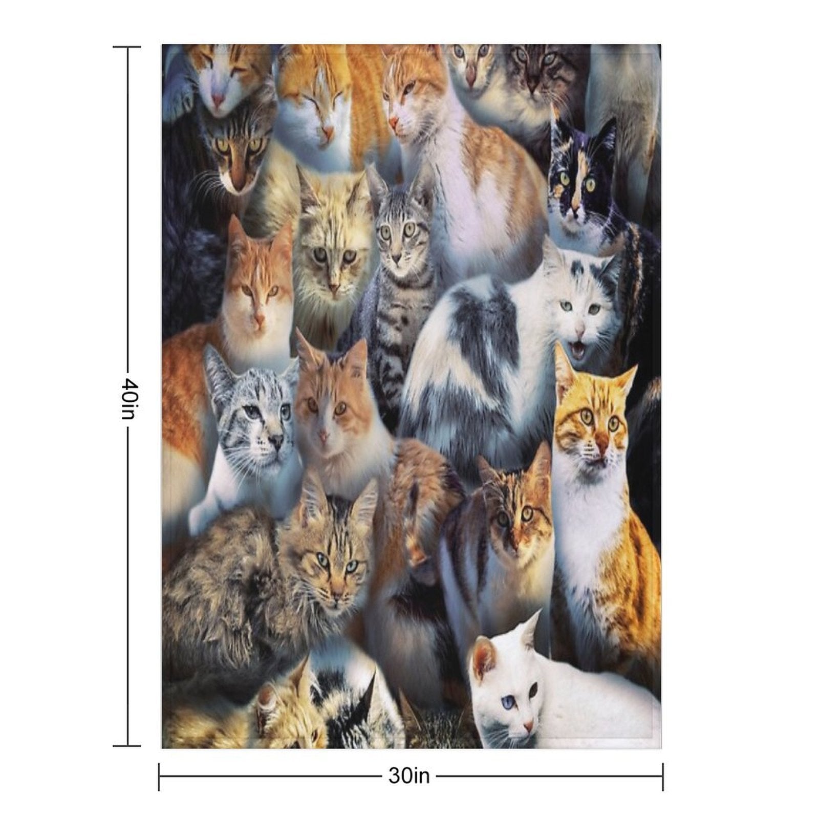 Stray Cats Velvety-soft Throw Blanket