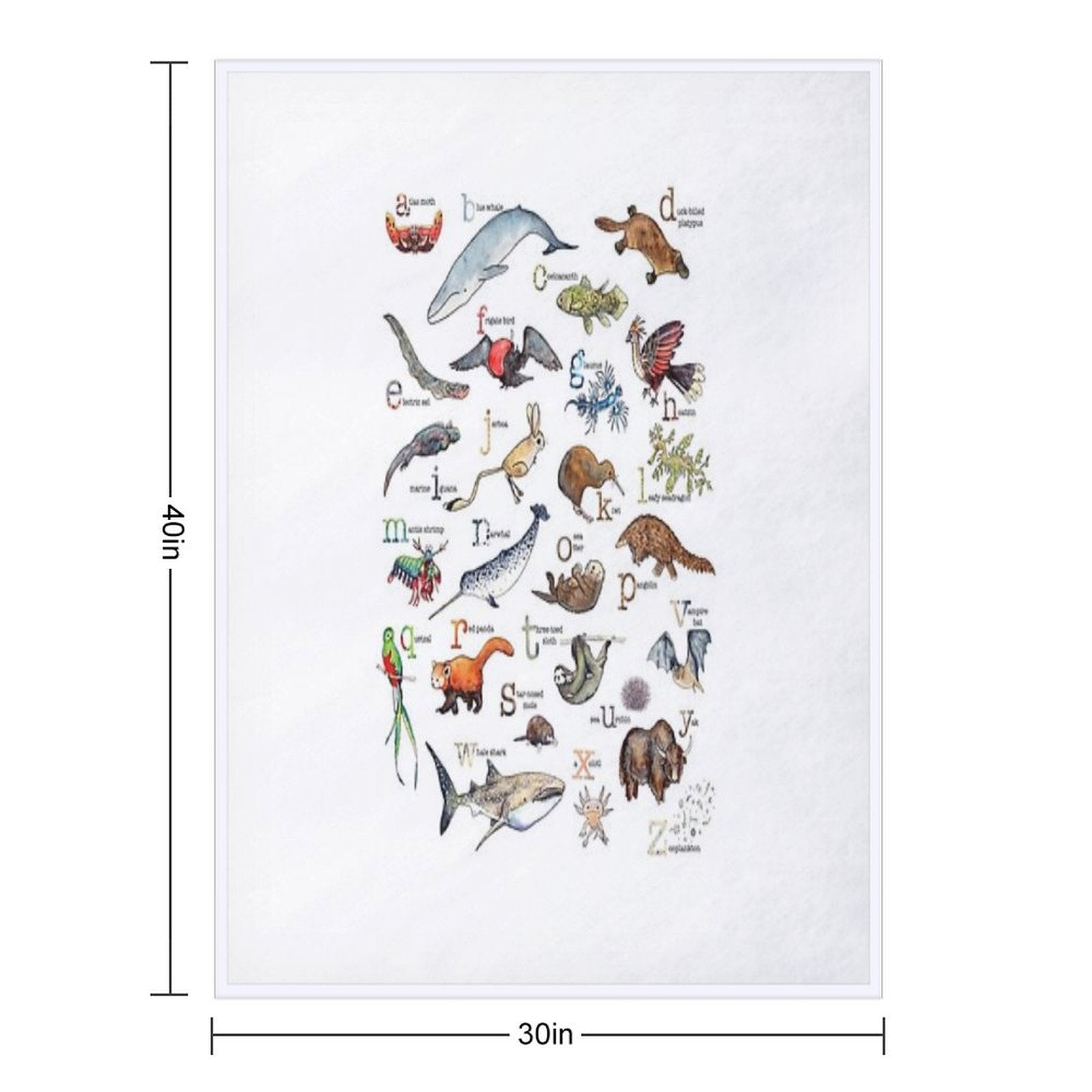 A to Z of Amazing Animals Eco-conscious Throw Blanket