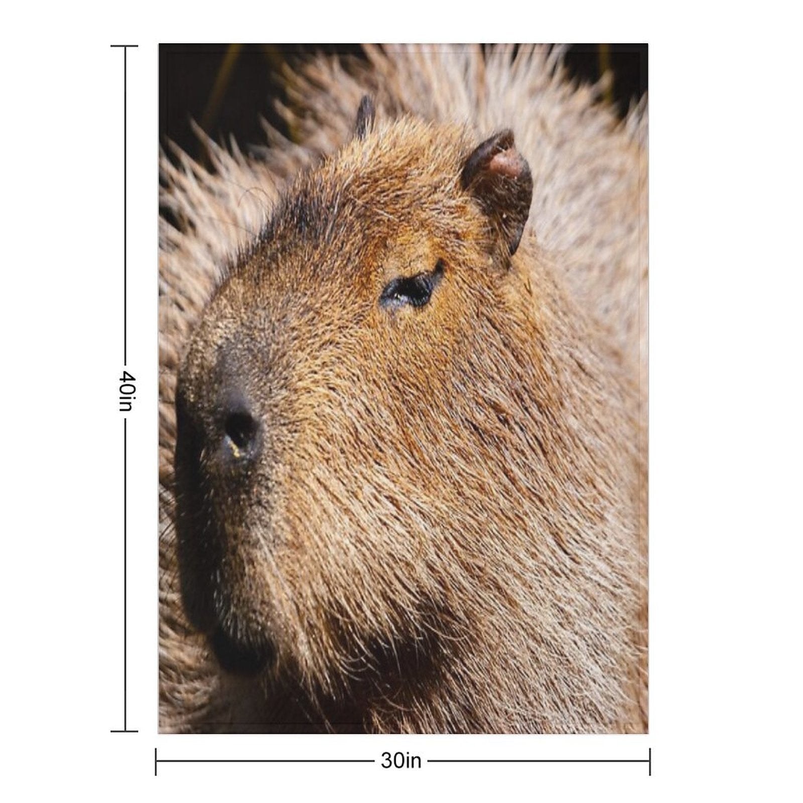 Capybara Profile Multi-functional Throw Blanket
