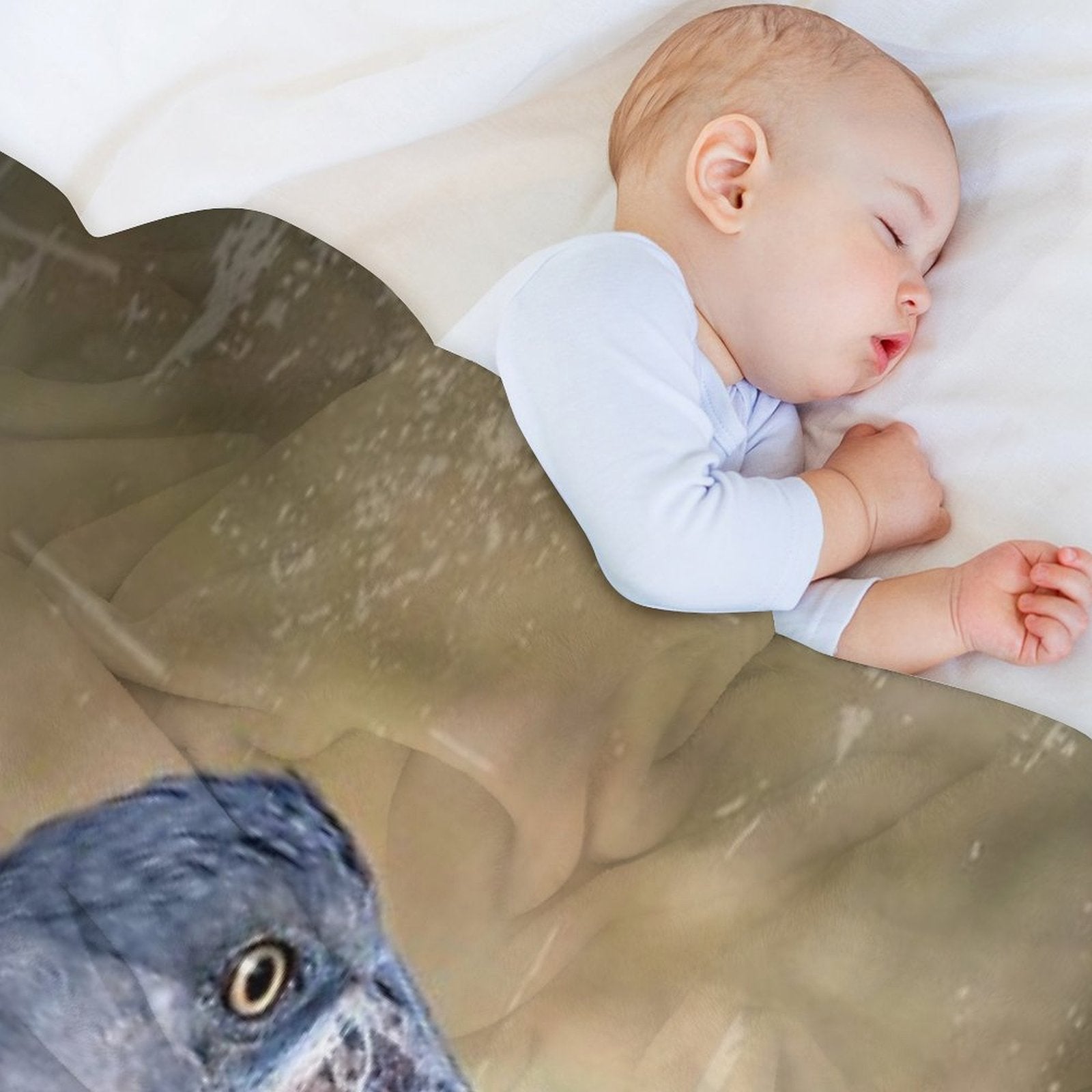 Shoebill Stork Premium Throw Blanket
