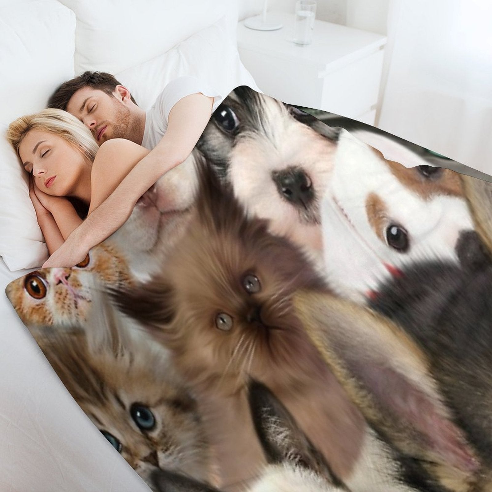 Groups of Cats And Dogs Comfort Throw Blanket