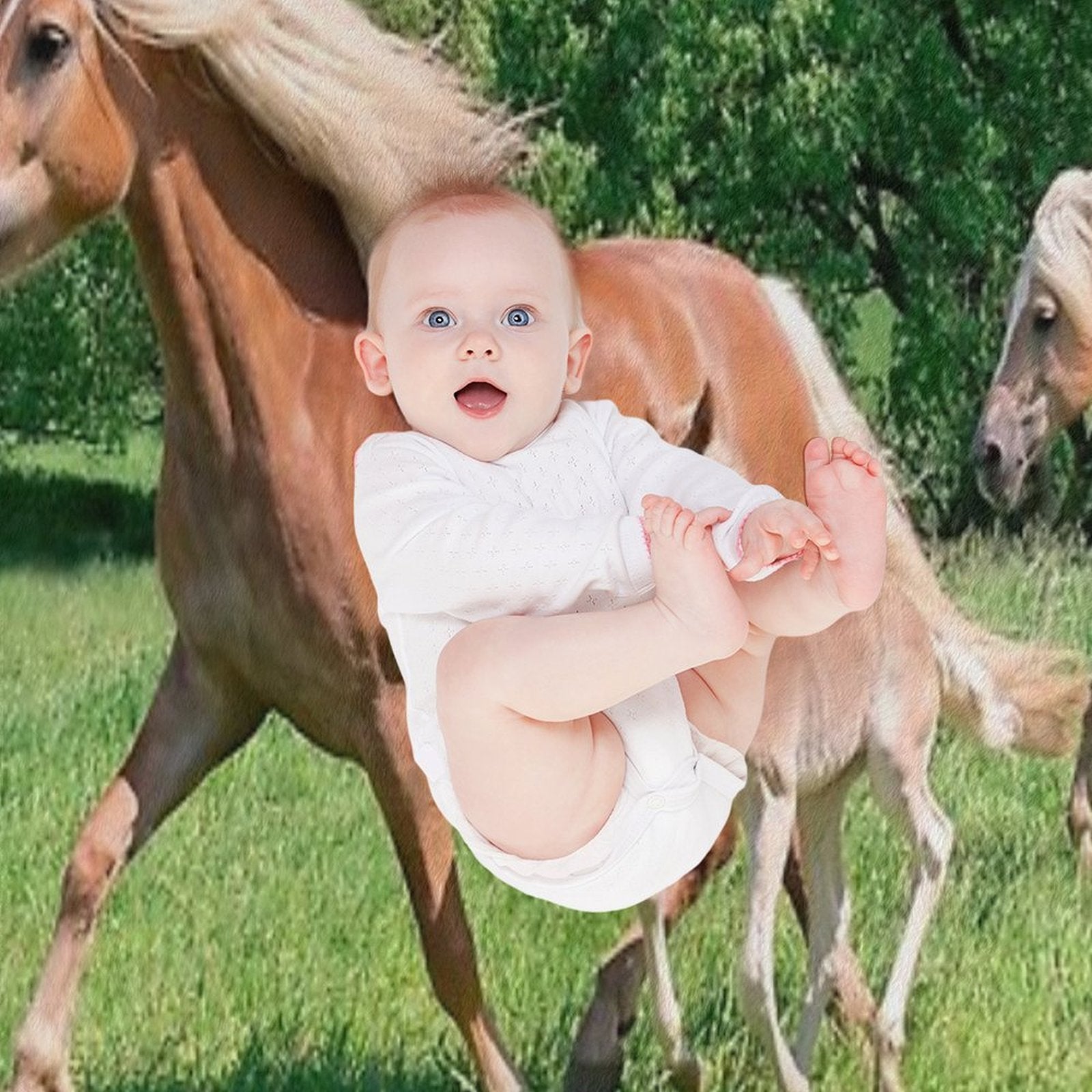 Haflinger Horses Run Together Wrinkle-free Throw Blanket