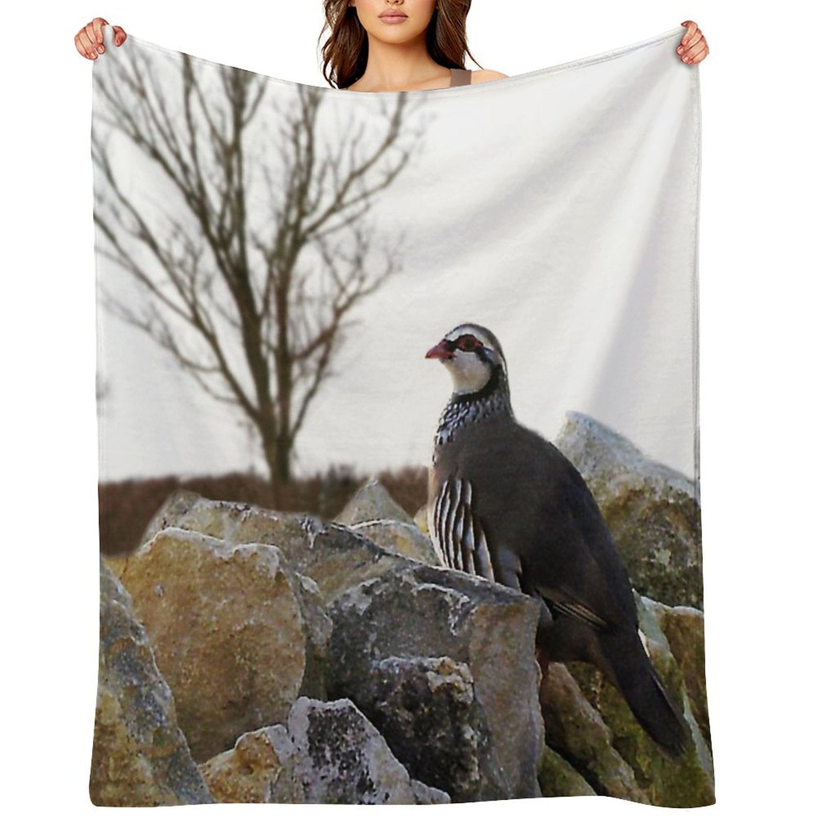 Winter Partridge Velvety-soft Throw Blanket