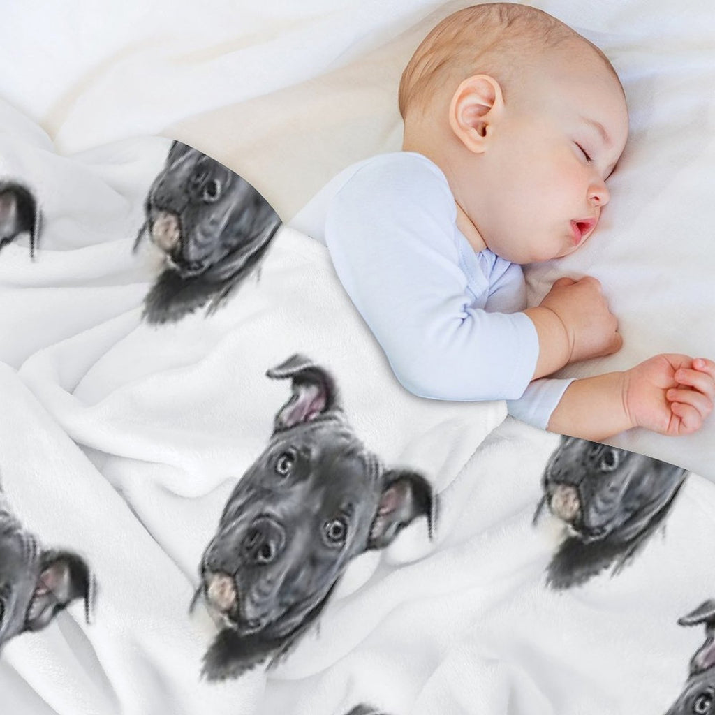 Blue Staffy Quick-dry Throw Blanket