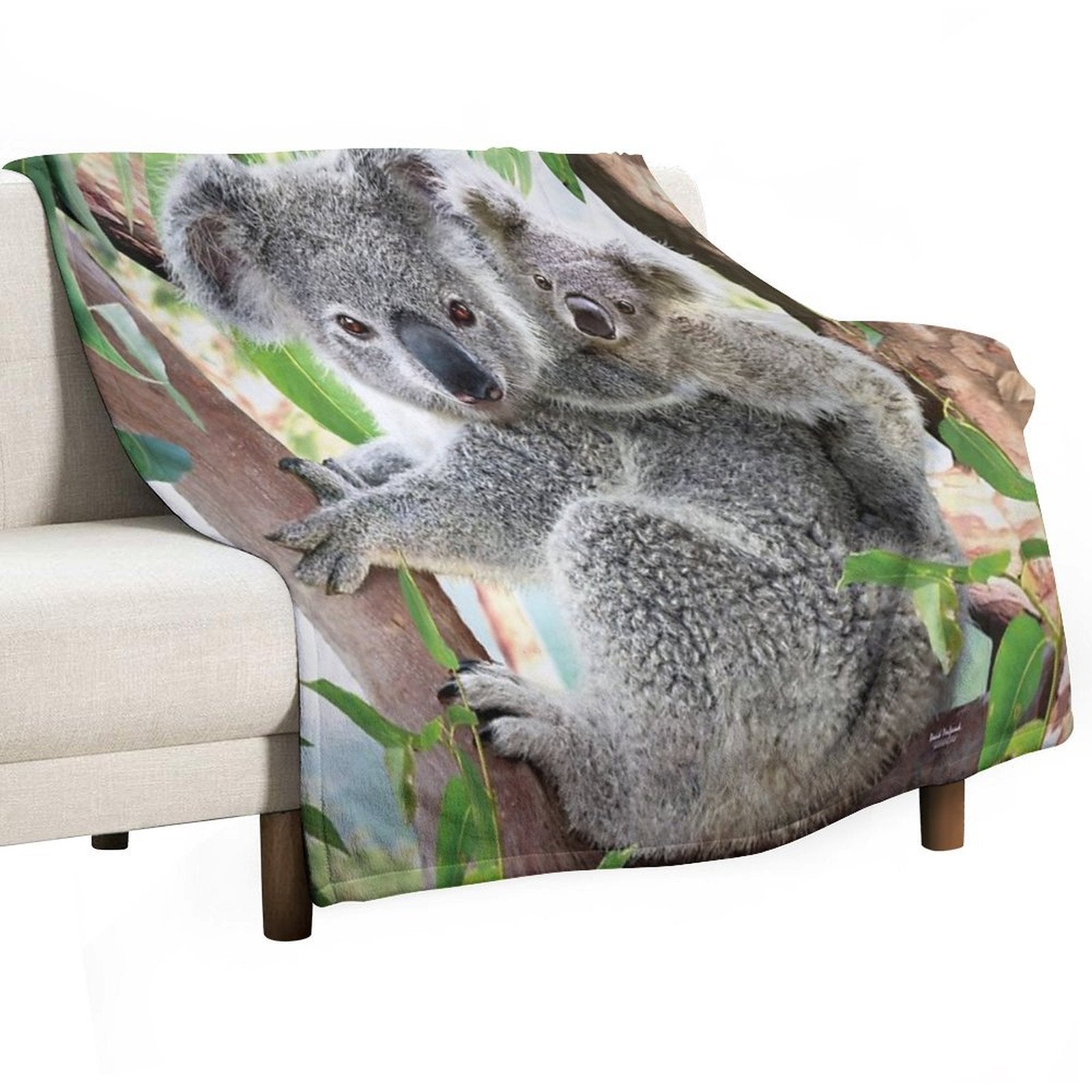 Koala Cuddles Velvety-soft Throw Blanket