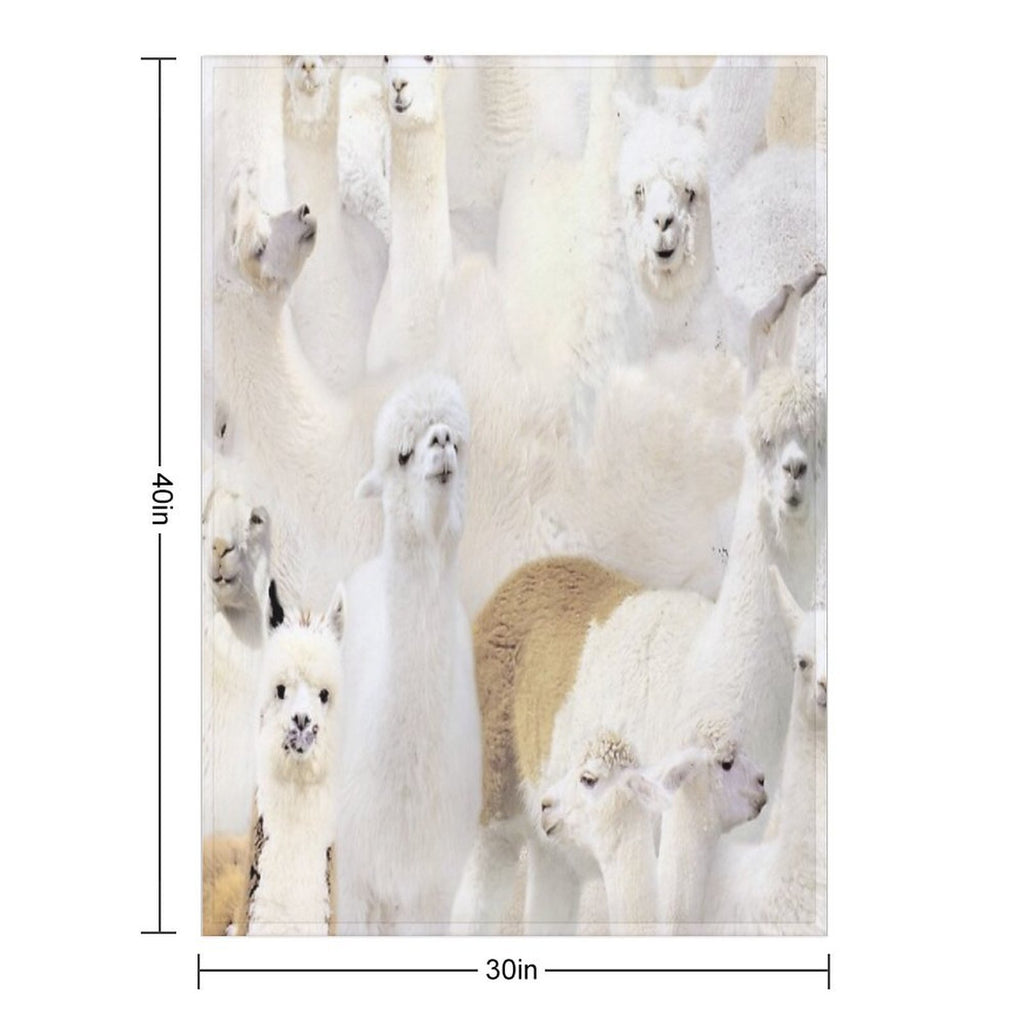Alpacas All-season Throw Blanket