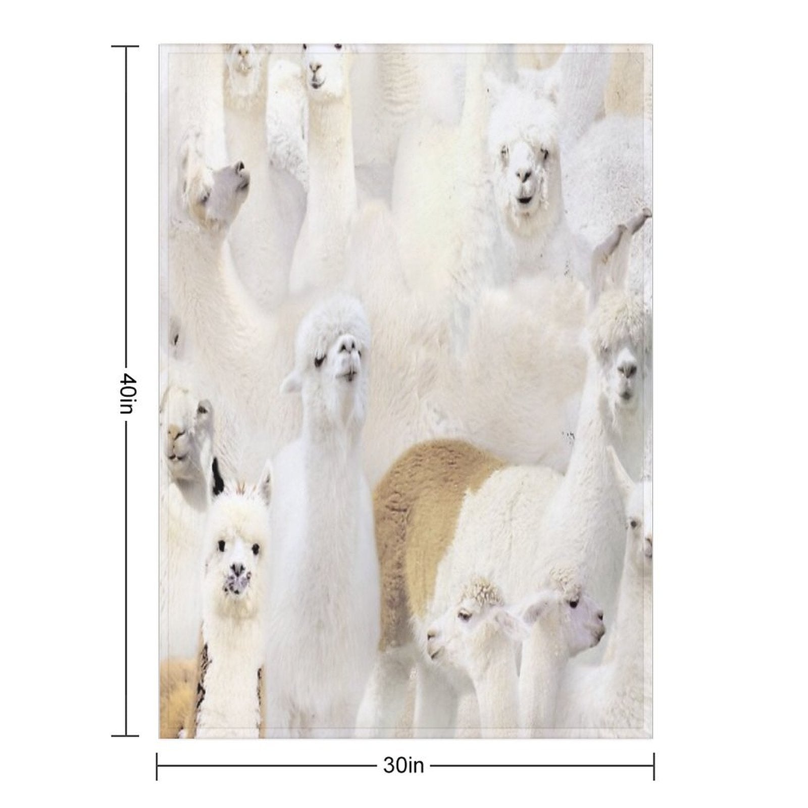 Alpacas All-season Throw Blanket