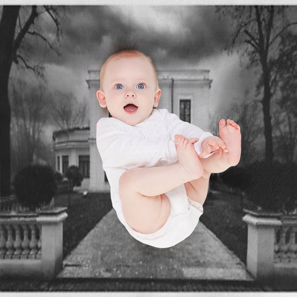 Bibesco Mansion Eco-conscious Throw Blanket