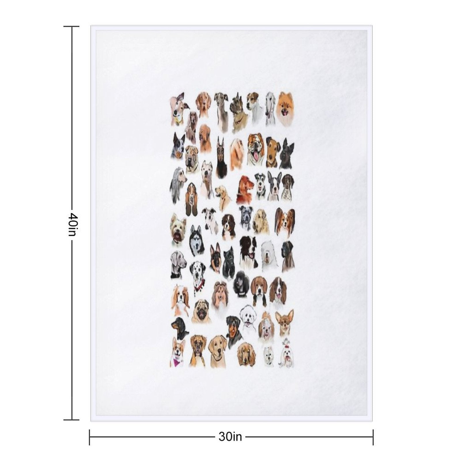 Dog Breed Paintings Anti-pilling Throw Blanket