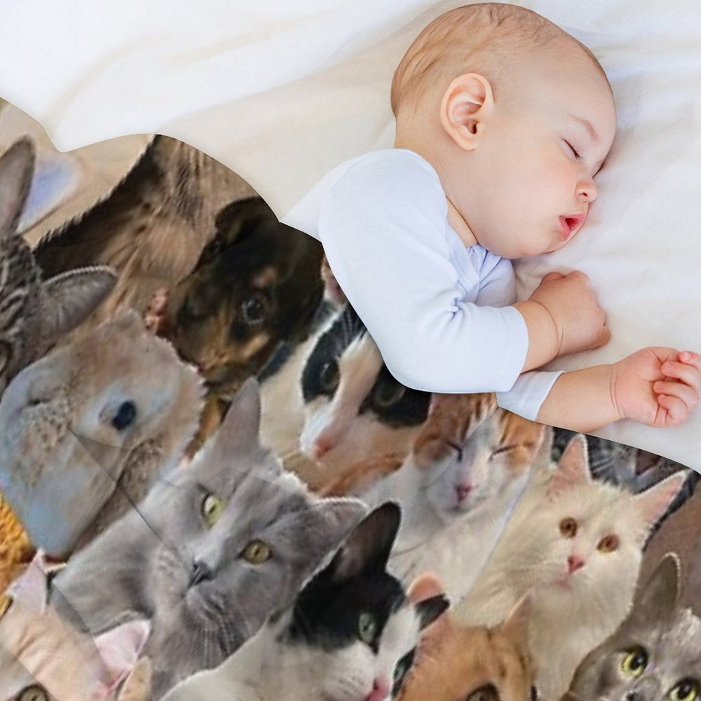 Cuteness Overload Wrinkle-free Throw Blanket