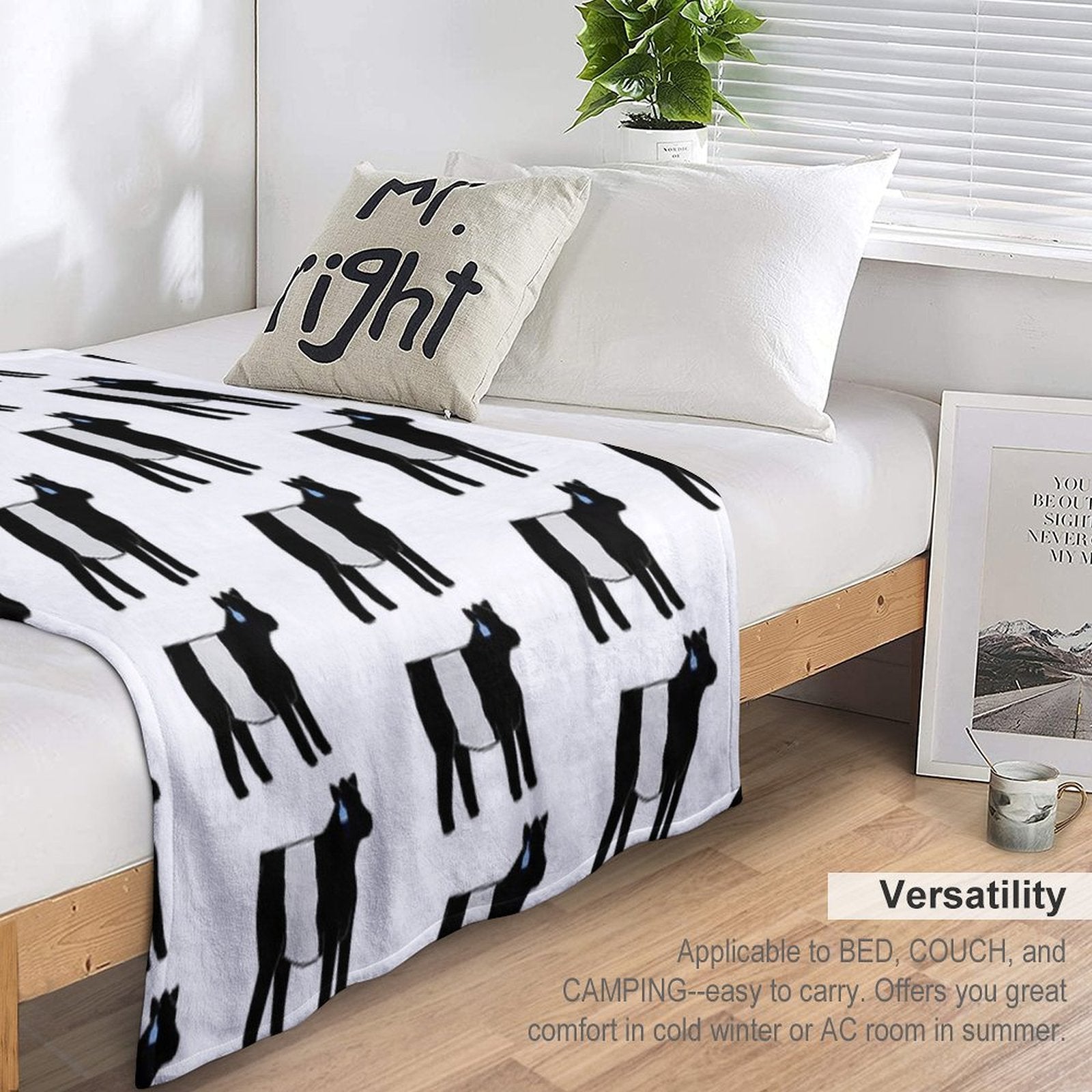 Belted Galloway Heifer Wrinkle-free Throw Blanket