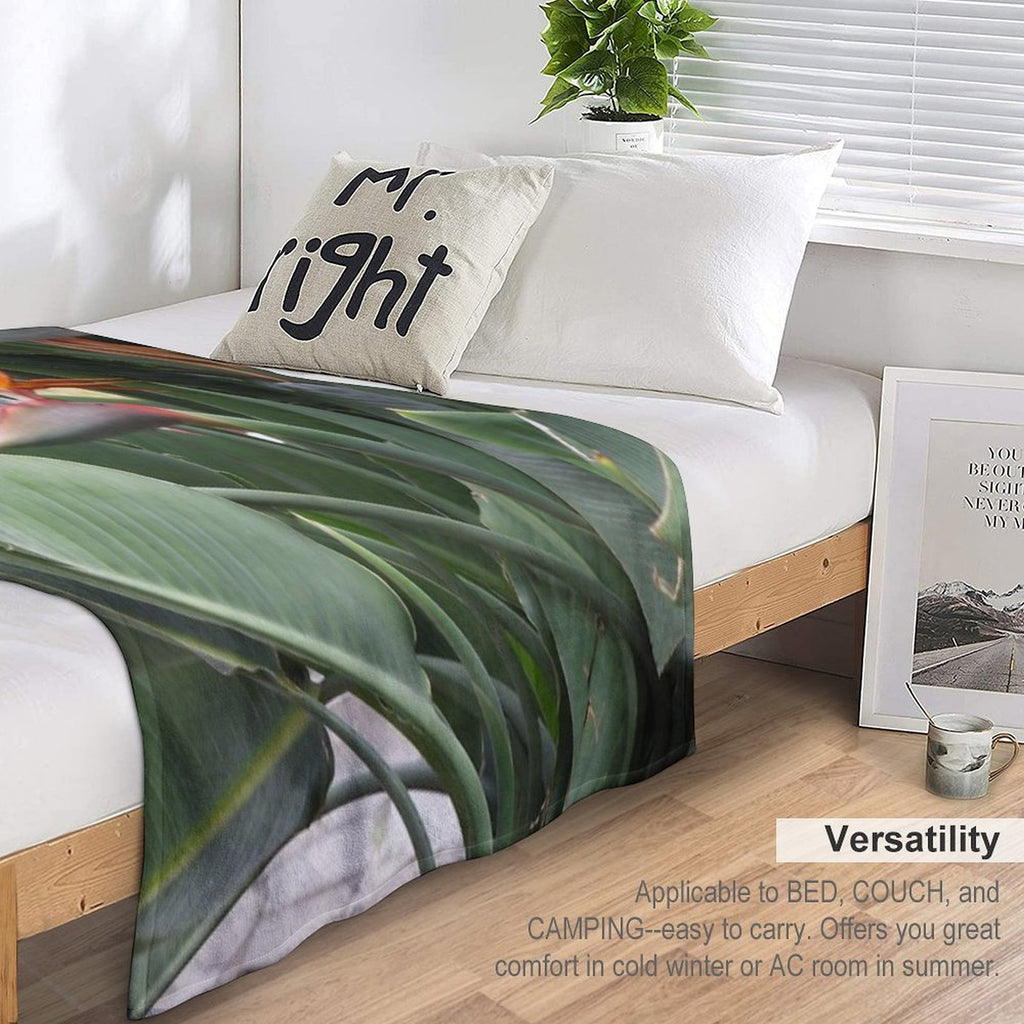 A Beautiful Bird of Paradise Flower from Madeira Compact Throw Blanket