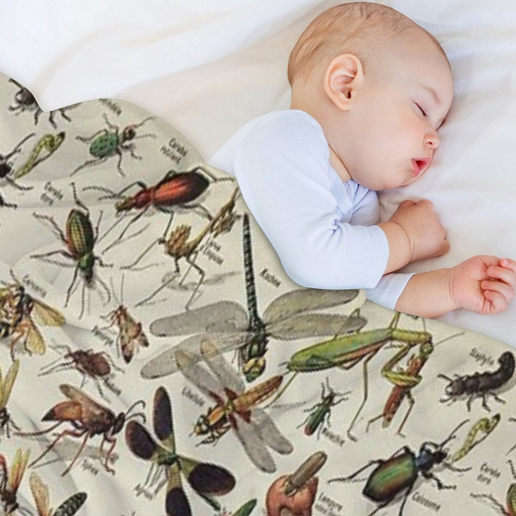 Insects Chart. Scientific Illustration, Text in French Eco-conscious Throw Blanket