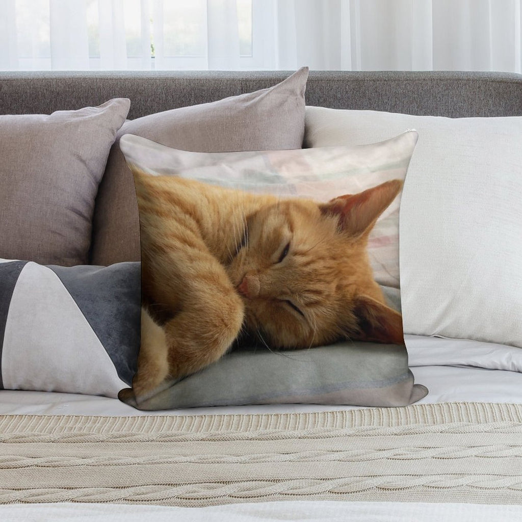 Ginger Cat Sleeping Soft Fade-Resistant Throw Pillow