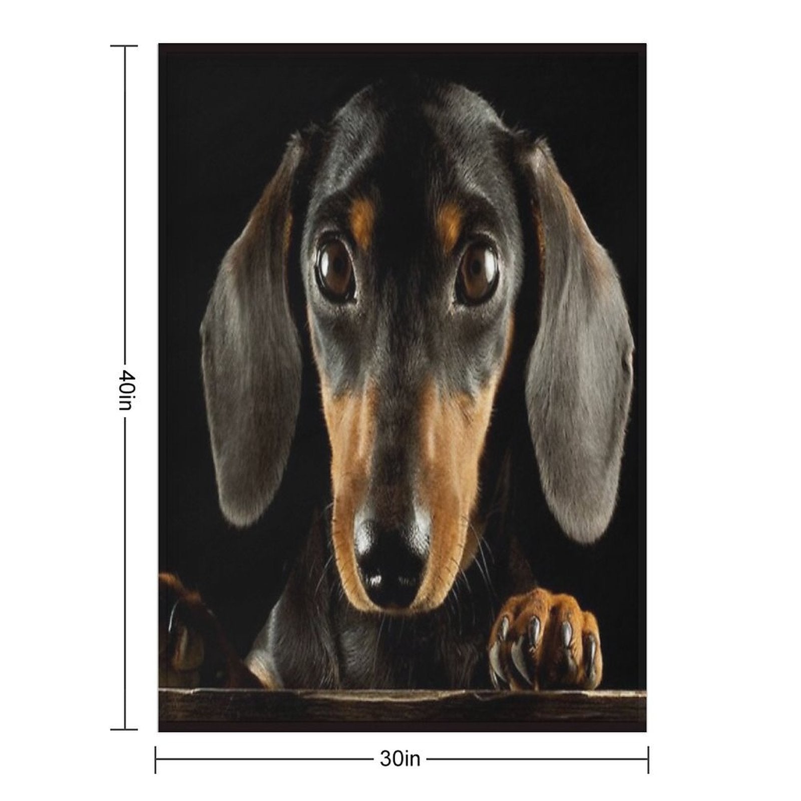Dachshund Dog Photo Portrait Travel-friendly Throw Blanket