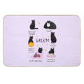 Salem  Easy To Clean Bath Mat