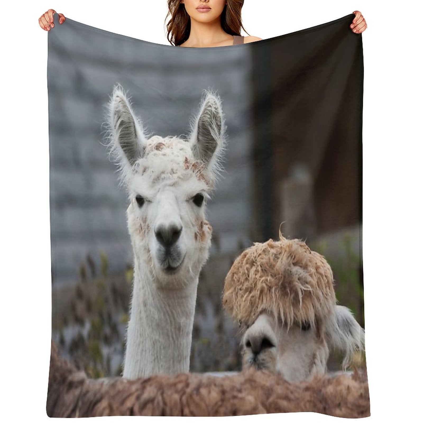 Curious Alpacas Cute Animals Travel-friendly Throw Blanket