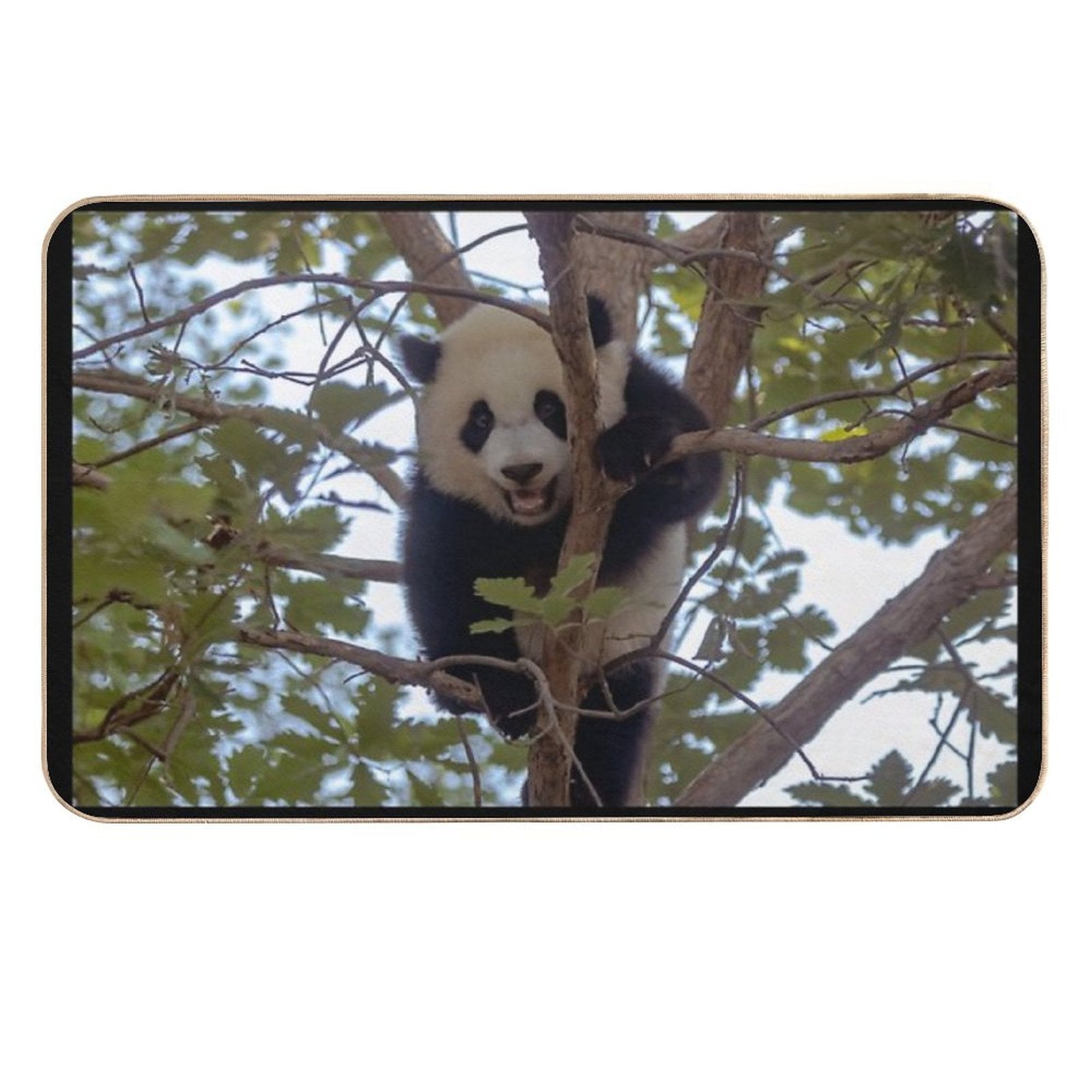Baby Panda Xiao Qi Ji at The National Zoo  Dirt-Trapping Bath Mat
