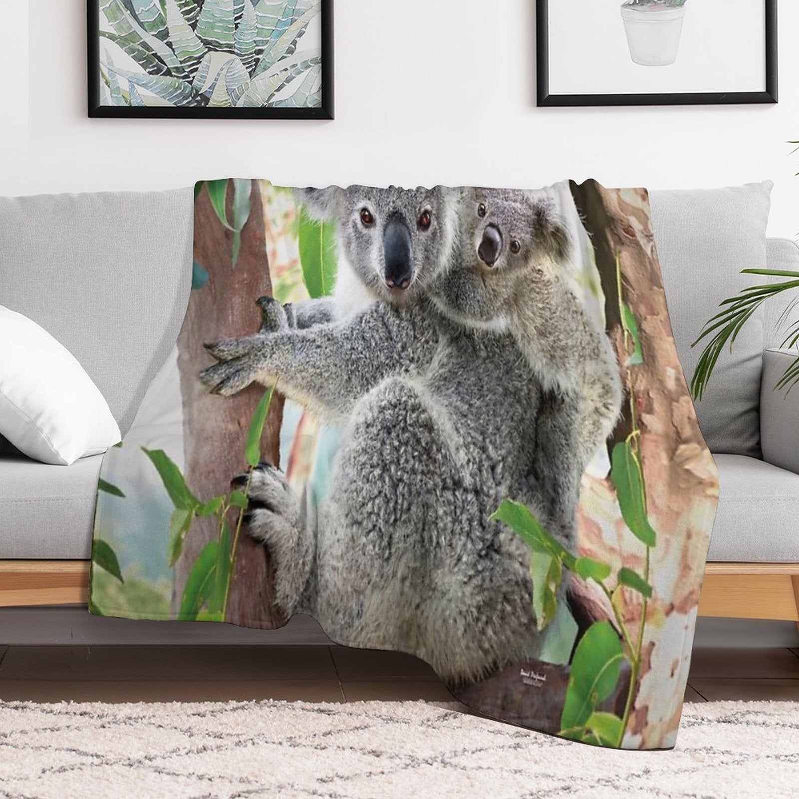 Koala Cuddles Velvety-soft Throw Blanket