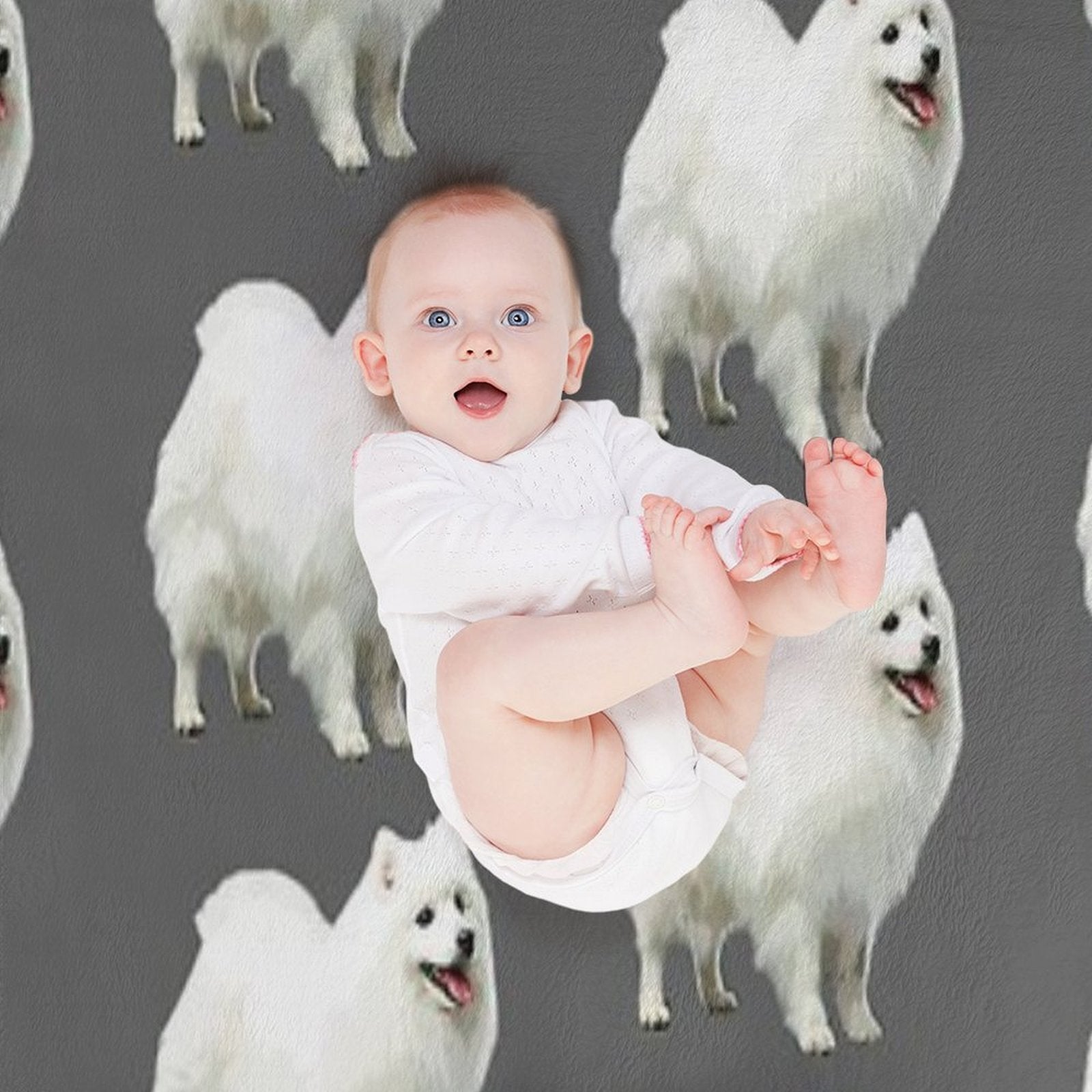 Japanese Spitz Puppy Dog Plush Throw Blanket