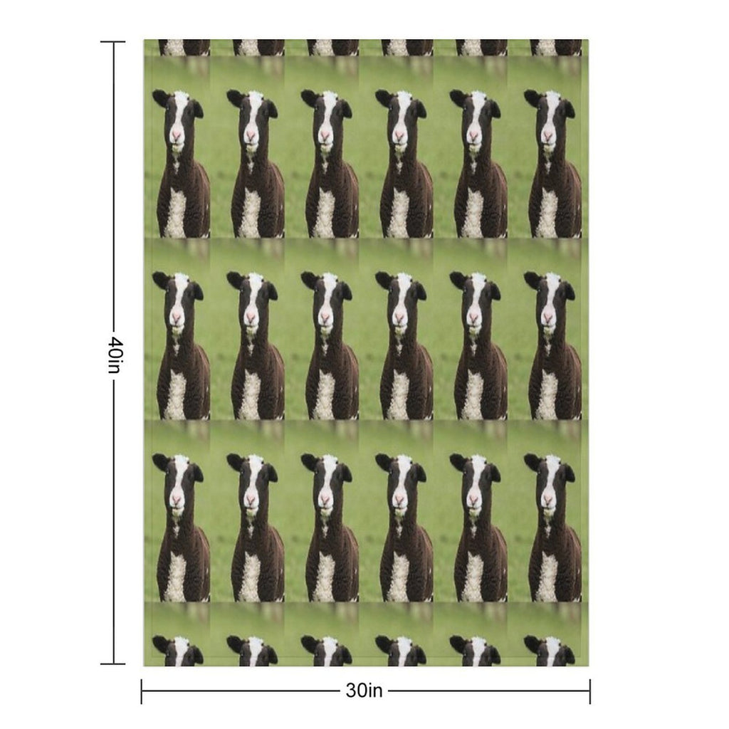Zwartbles Lamb Anti-pilling Throw Blanket