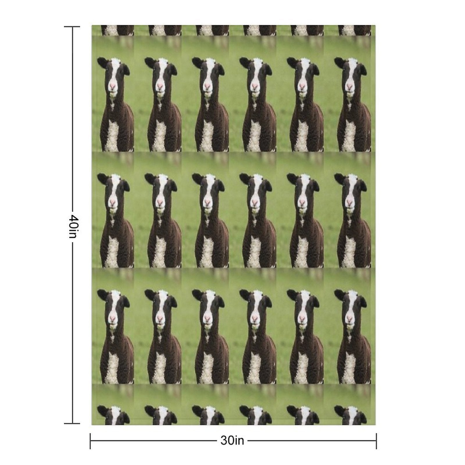 Zwartbles Lamb Anti-pilling Throw Blanket