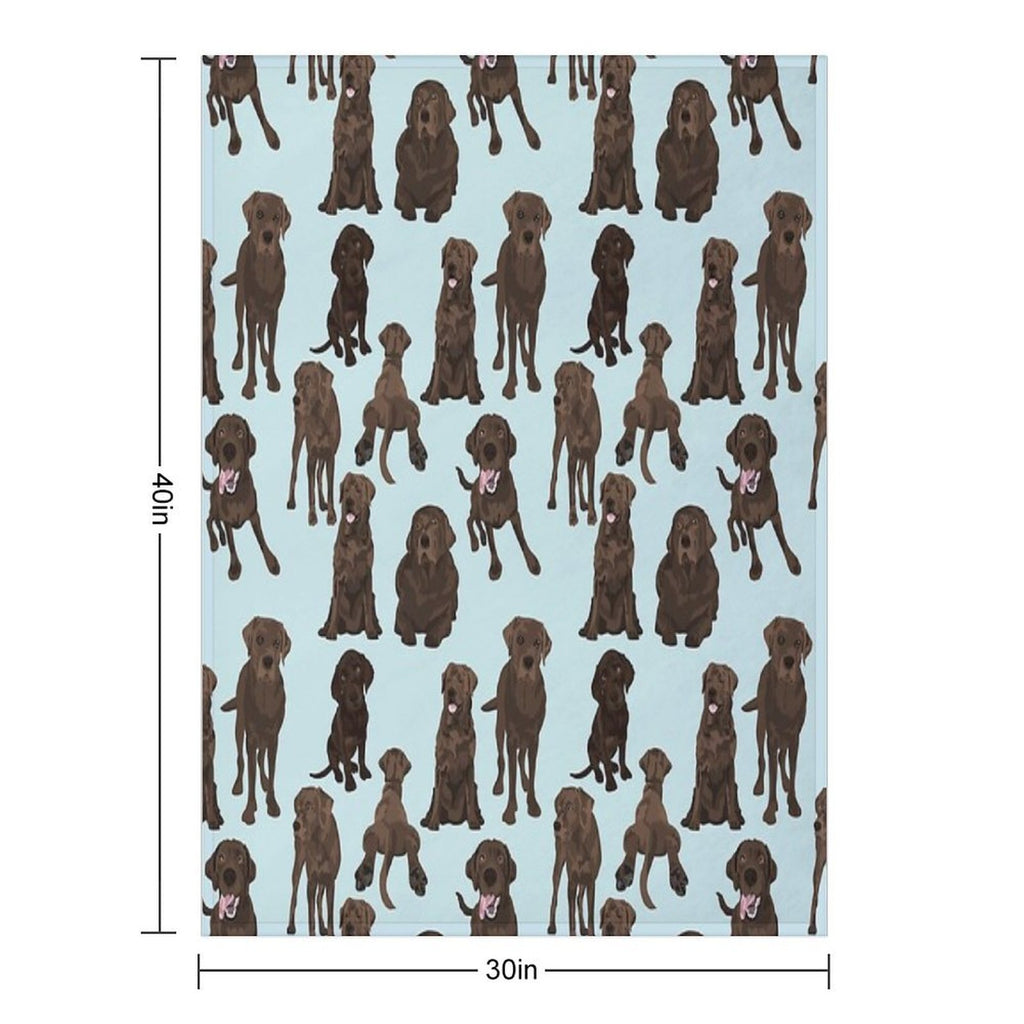 Chocolate Lab Quick-dry Throw Blanket