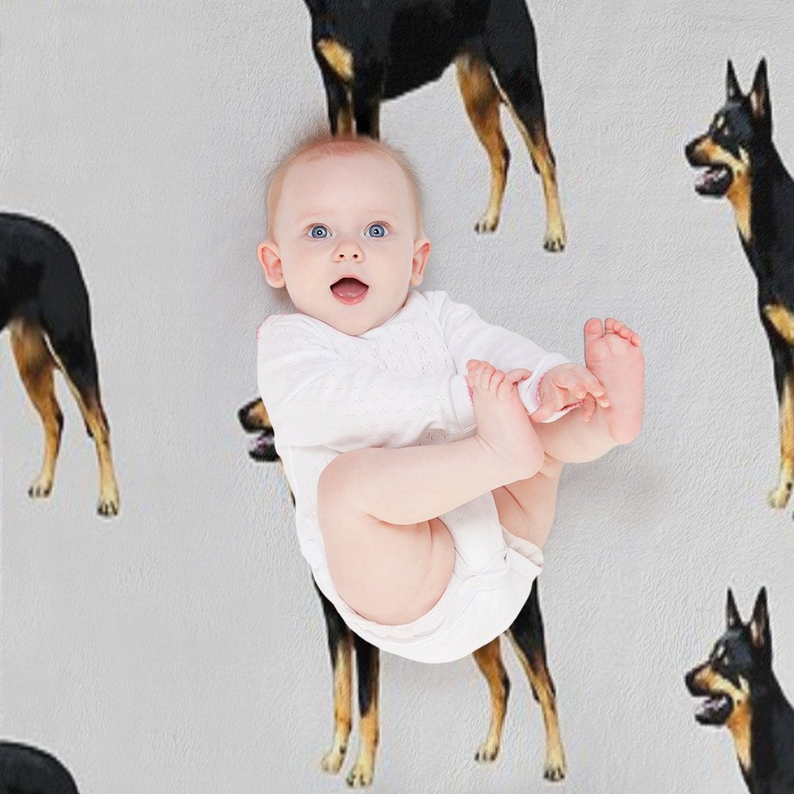 Kelpie- Australian Black And Tan Kelpie Durable Throw Blanket