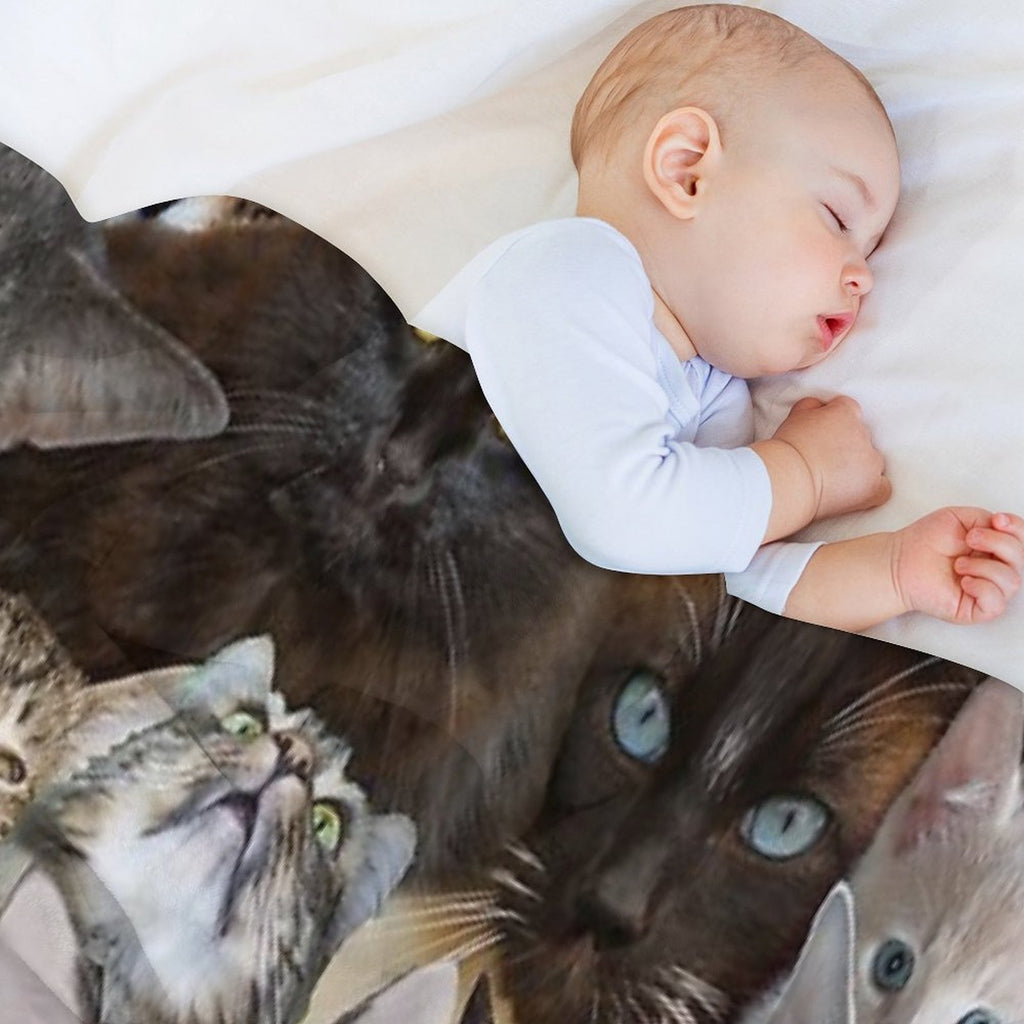Cats Quick-dry Throw Blanket