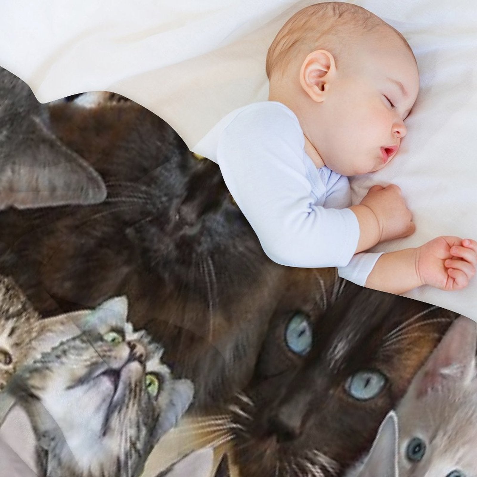 Cats Quick-dry Throw Blanket