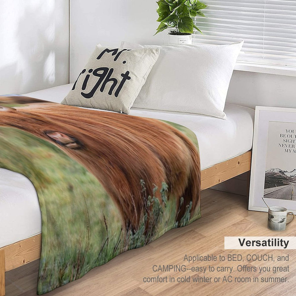 Long Haired Highland Cattle - Highland Cow, Highlander, Heilan Coo - Thurso, The Highlands, Scotland All-season Throw Blanket