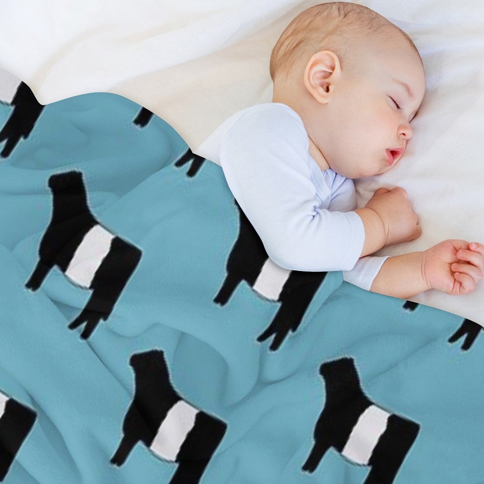 Belted Galloway Cow Plush Throw Blanket