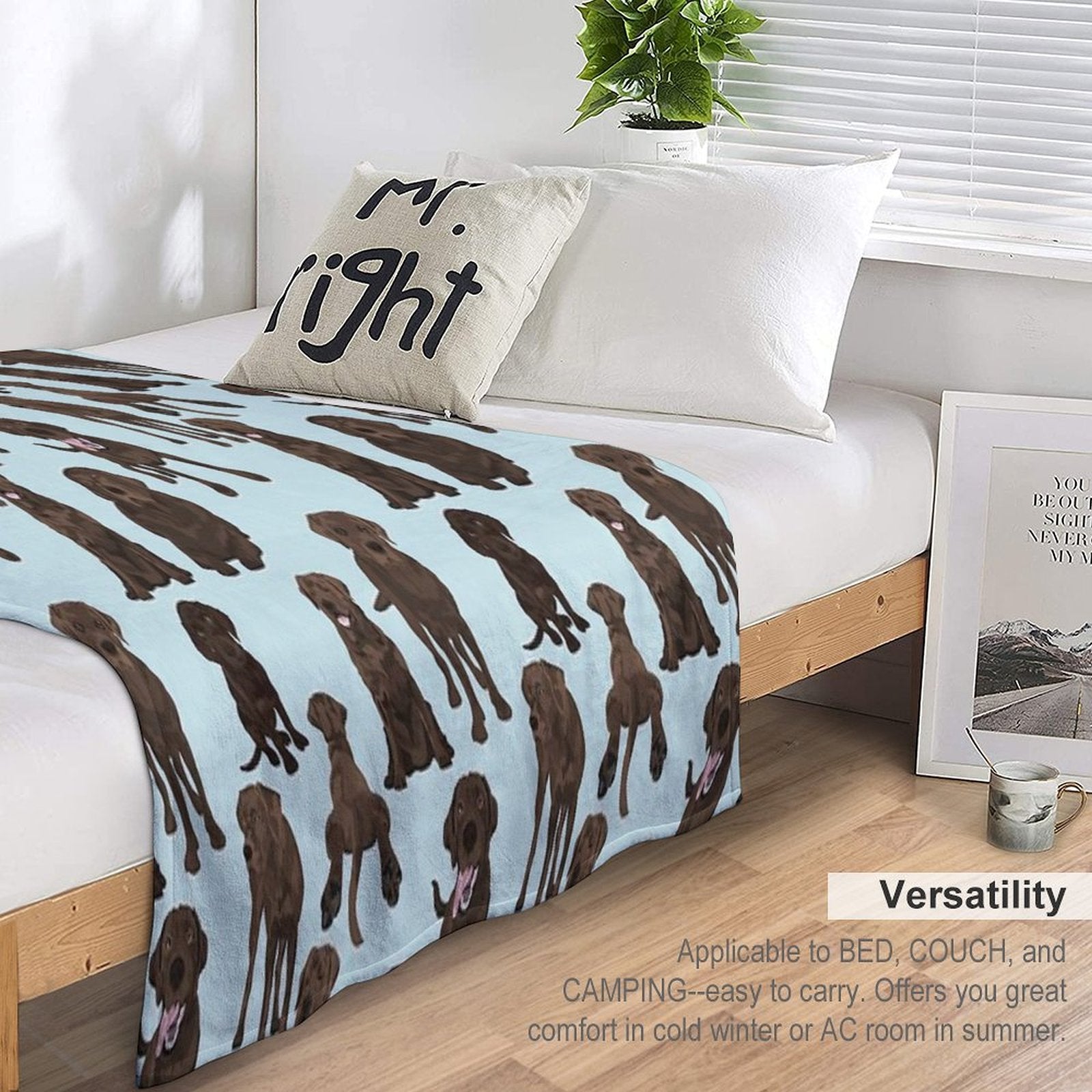 Chocolate Lab Quick-dry Throw Blanket