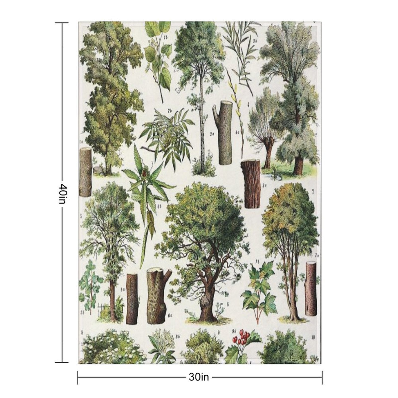 Adolphe Millot - Arbres A - French Vintage Botanical Poster Machine-washable Throw Blanket