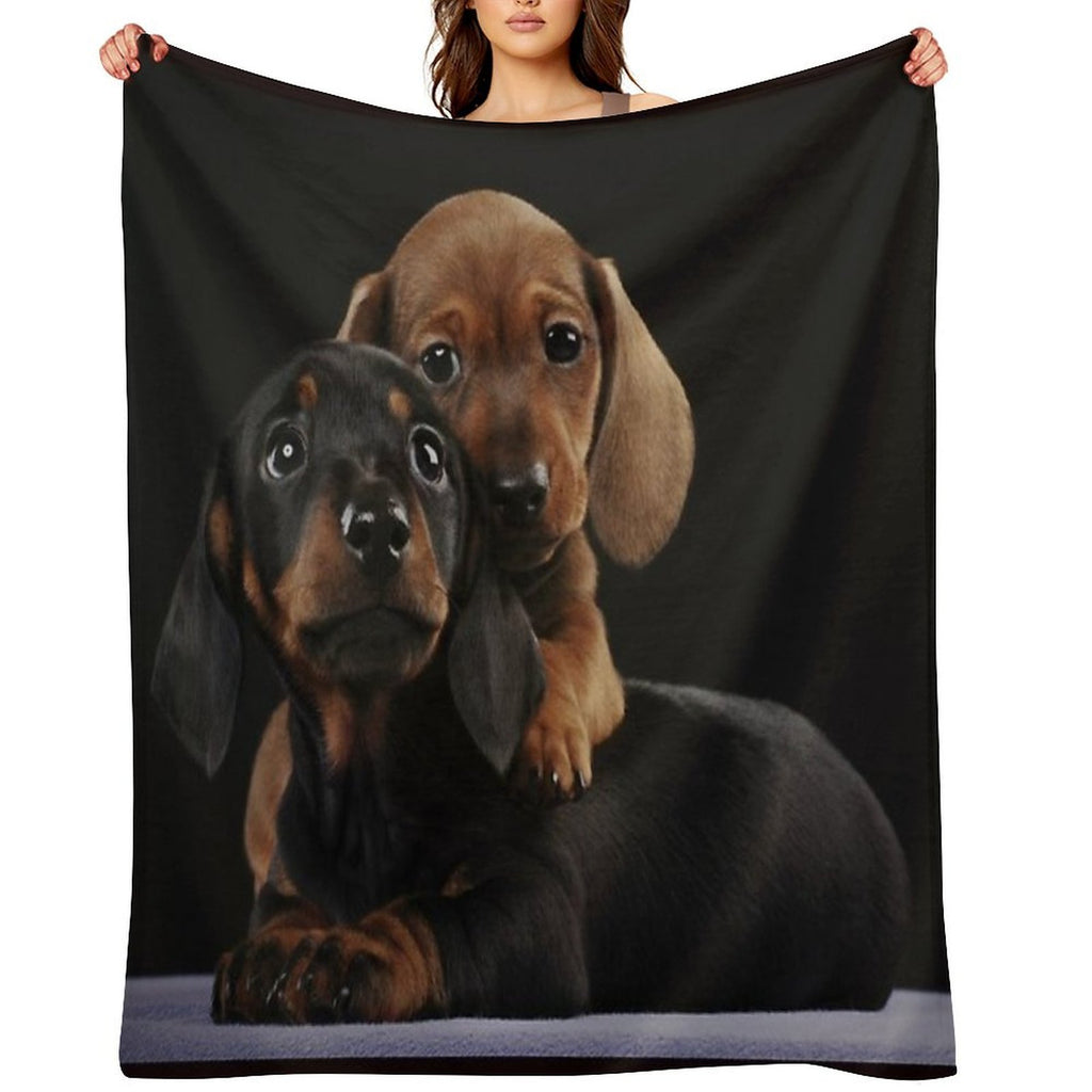 Dachshund Dog Portrait Photo Pupies Velvety-soft Throw Blanket