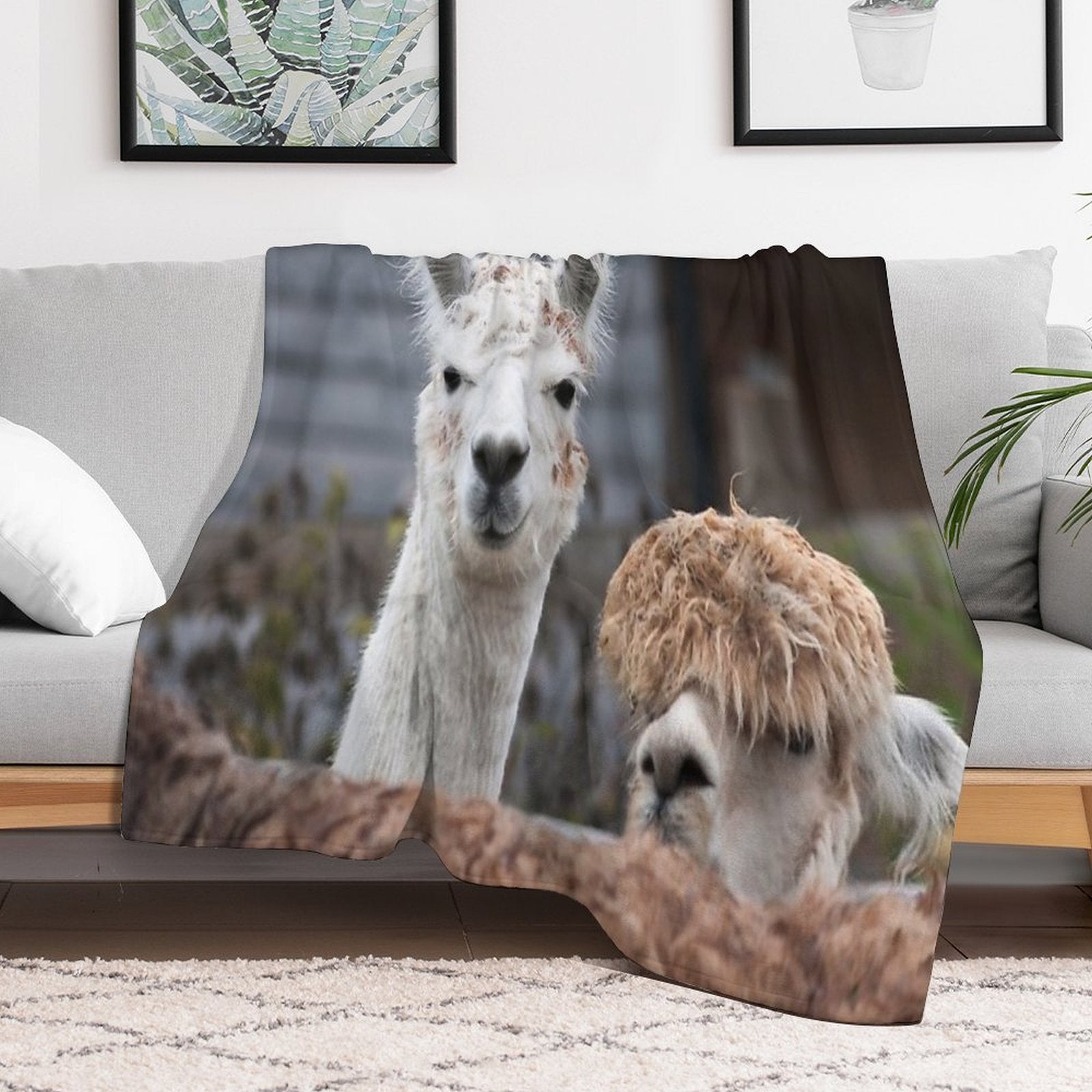 Curious Alpacas Cute Animals Travel-friendly Throw Blanket