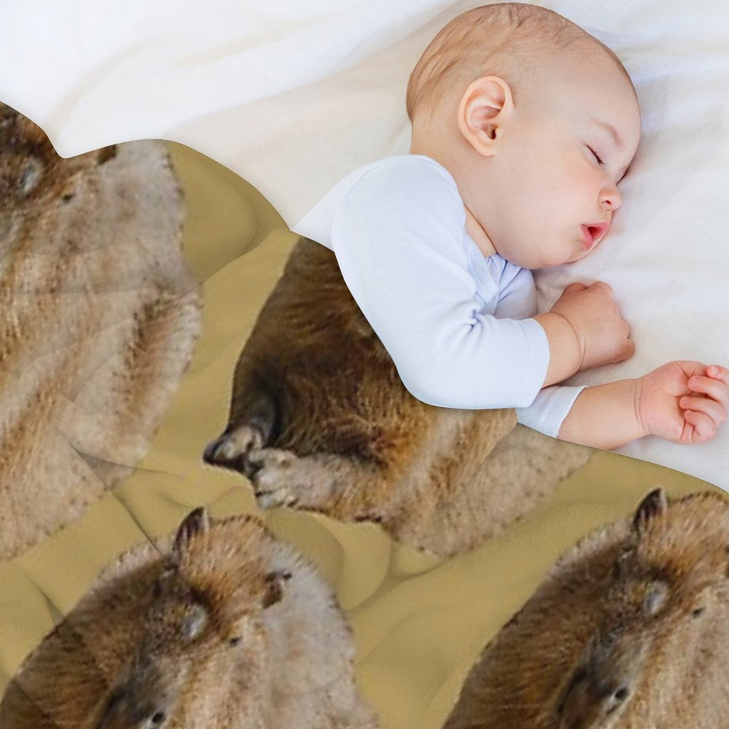 Capybara Dozing in The Sunshine Comfort Throw Blanket